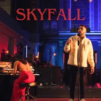 Luke Silva — Skyfall — обложка
